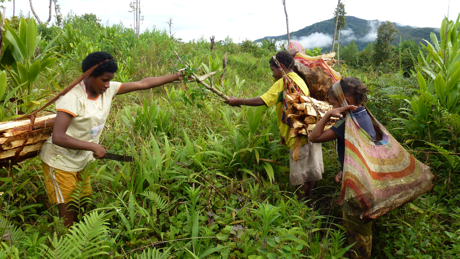 Whatsapp image 20260606 at 19 12 17 catrawarta Suku muyu di kabupaten boven digoel papua selatan dan suku ngalum di oksibil kabupaten pegunungan bintang masih mempertahankan tradisi ibu melahirkan di luar rumah
